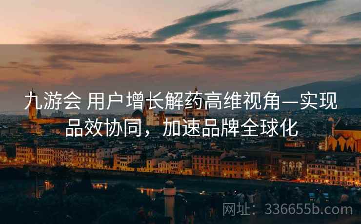 九游会 用户增长解药高维视角—实现品效协同，加速品牌全球化