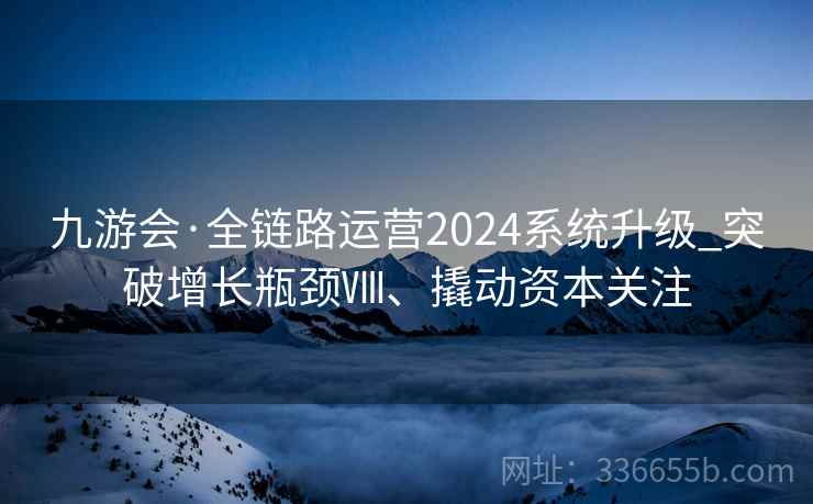 九游会·全链路运营2024系统升级_突破增长瓶颈Ⅷ、撬动资本关注