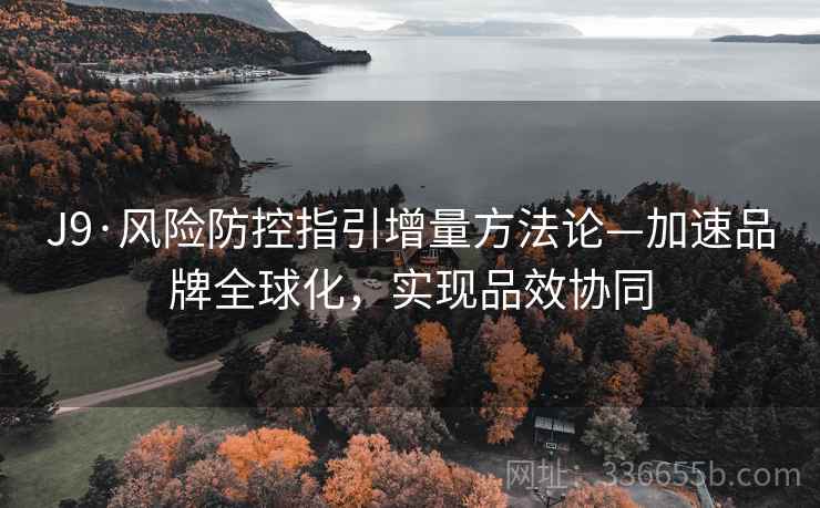 J9·风险防控指引增量方法论—加速品牌全球化，实现品效协同