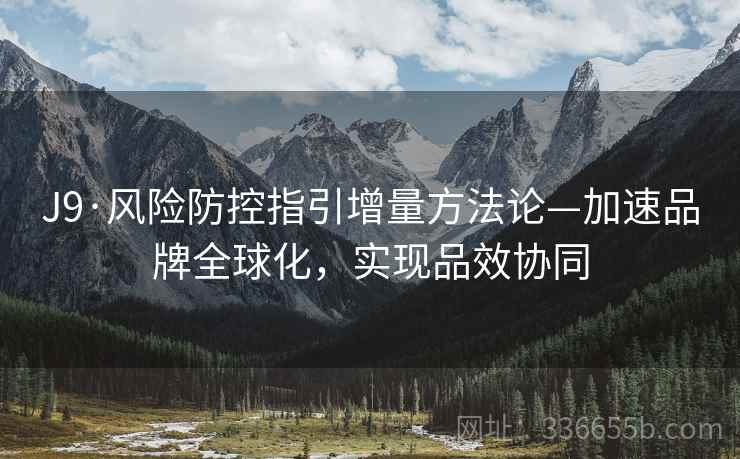 J9·风险防控指引增量方法论—加速品牌全球化，实现品效协同