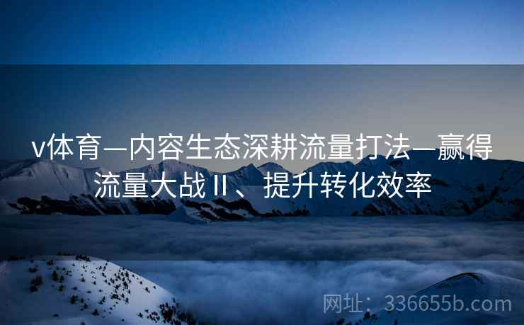 v体育—内容生态深耕流量打法—赢得流量大战Ⅱ、提升转化效率