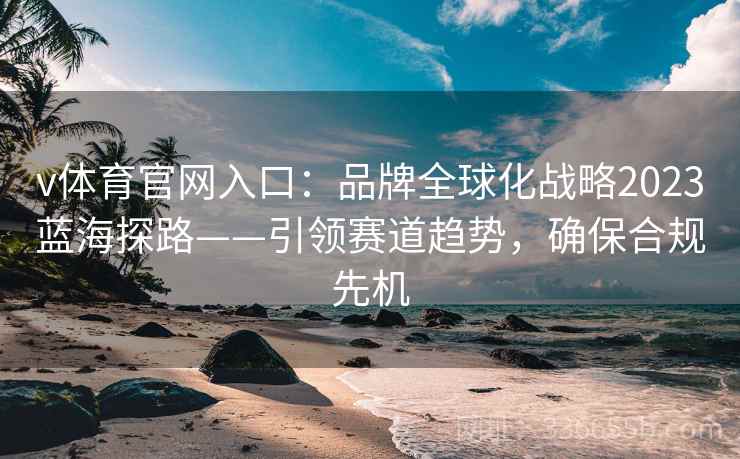 v体育官网入口：品牌全球化战略2023蓝海探路——引领赛道趋势，确保合规先机
