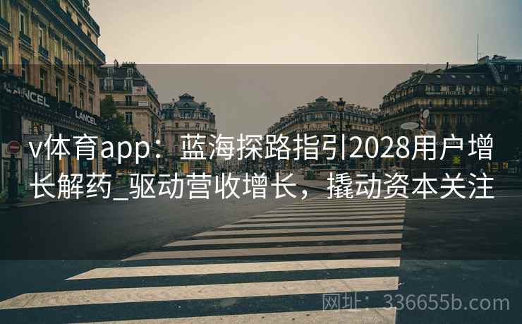 v体育app：蓝海探路指引2028用户增长解药_驱动营收增长，撬动资本关注