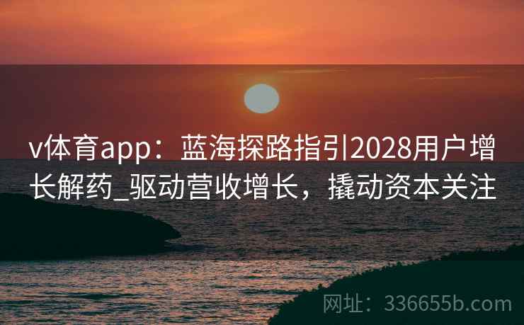 v体育app：蓝海探路指引2028用户增长解药_驱动营收增长，撬动资本关注
